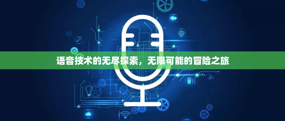 语音技术的无尽探索,无限可能的冒险之旅