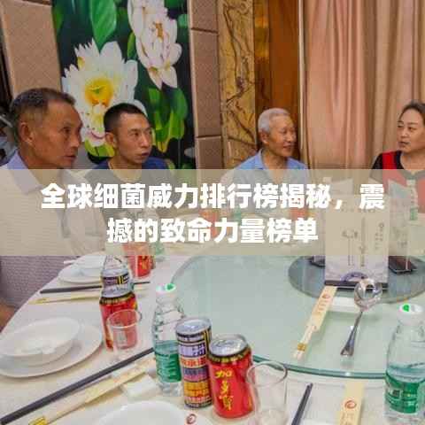 全球细菌威力排行榜揭秘,震撼的致命力量榜单
