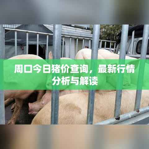 雍容雅步 第2页