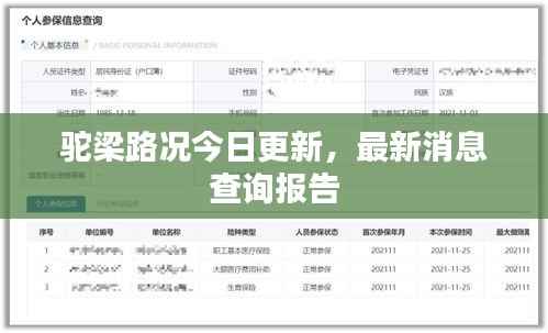 驼梁路况今日更新，最新消息查询报告