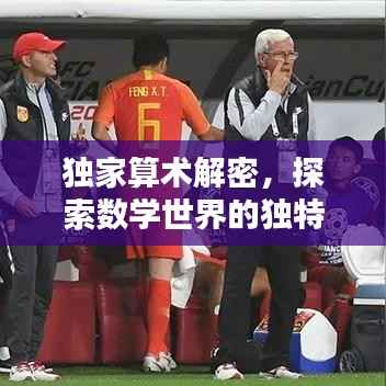 独家算术解密,探索数学世界的独特解法