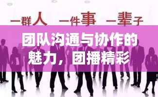 团队沟通与协作的魅力,团播精彩连连看