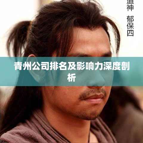 青州公司排名及影响力深度剖析