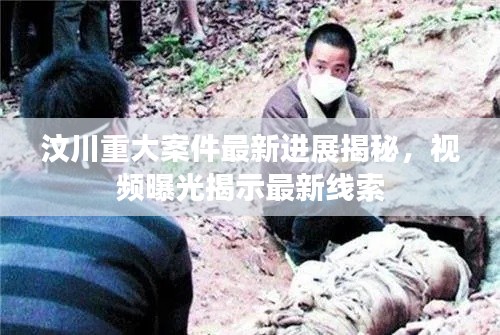 比张比李 第2页