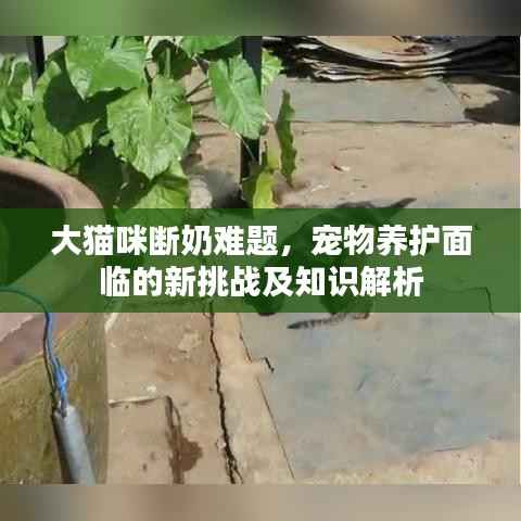 随时随地 第2页