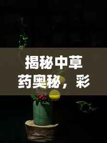 揭秘中草药奥秘,彩色图带你开启一场奇妙之旅