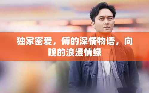 独家密爱,傅的深情物语,向晚的浪漫情缘