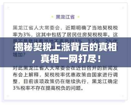 揭秘契税上涨背后的真相,真相一网打尽!