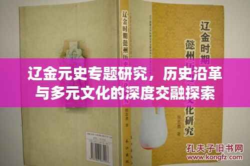 辽金元史专题研究,历史沿革与多元文化的深度交融探索