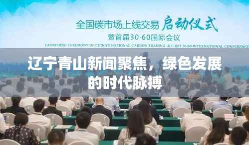 辽宁青山新闻聚焦,绿色发展的时代脉搏