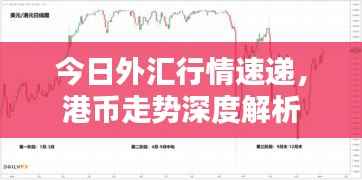 今日外汇行情速递,港币走势深度解析