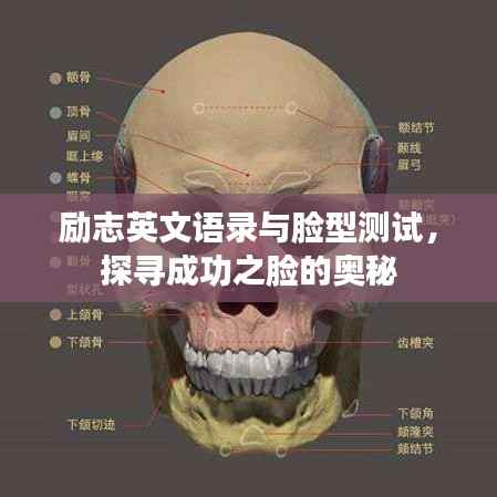 励志英文语录与脸型测试，探寻成功之脸的奥秘