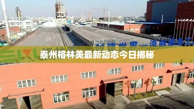 泰州格林美最新动态今日揭秘