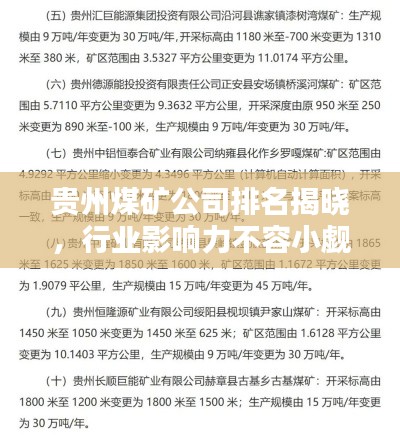 贵州煤矿公司排名揭晓，行业影响力不容小觑