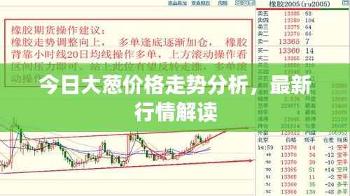 今日大葱价格走势分析,最新行情解读