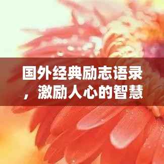 国外经典励志语录,激励人心的智慧语句