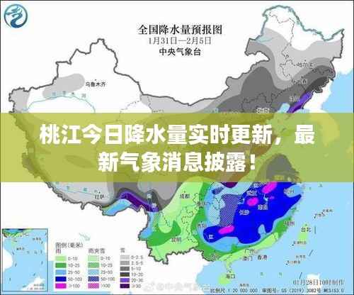 桃江今日降水量实时更新，最新气象消息披露！