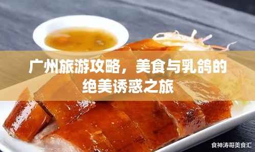 广州旅游攻略,美食与乳鸽的绝美诱惑之旅