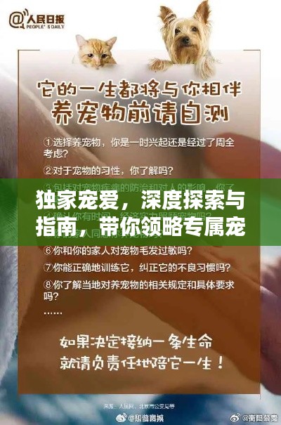 独家宠爱,深度探索与指南,带你领略专属宠爱世界!