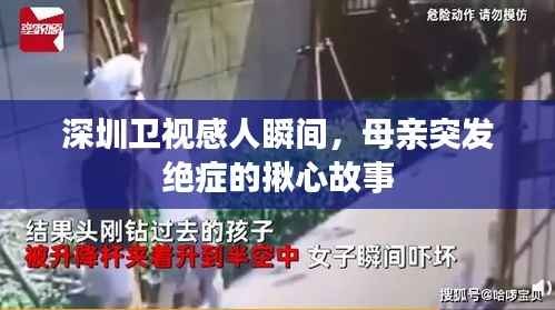 深圳卫视感人瞬间,母亲突发绝症的揪心故事