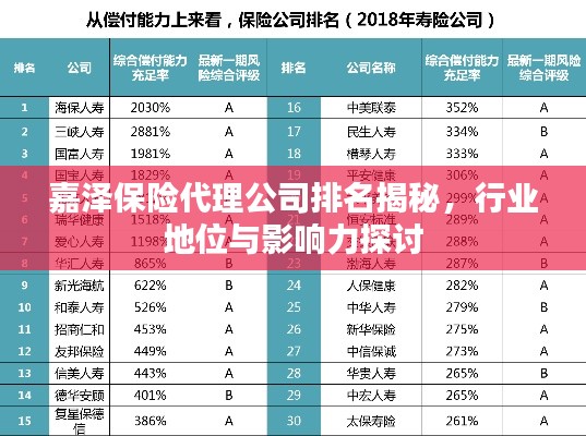 嘉泽保险代理公司排名揭秘，行业地位与影响力探讨