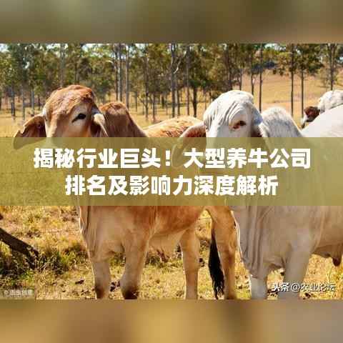 揭秘行业巨头!大型养牛公司排名及影响力深度解析