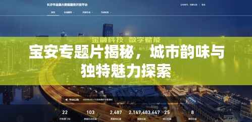 宝安专题片揭秘，城市韵味与独特魅力探索