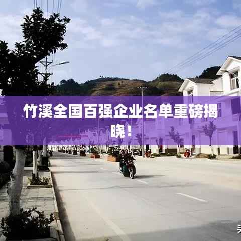 竹溪全国百强企业名单重磅揭晓!