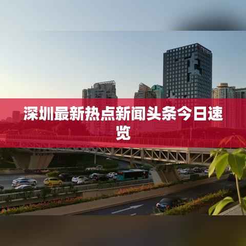 深圳最新热点新闻头条今日速览