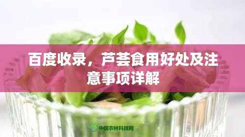 百度收录,芦荟食用好处及注意事项详解