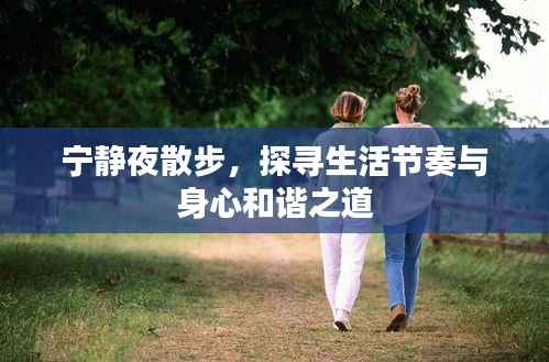 宁静夜散步，探寻生活节奏与身心和谐之道
