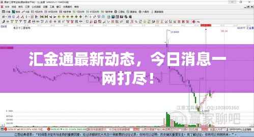 汇金通最新动态，今日消息一网打尽！