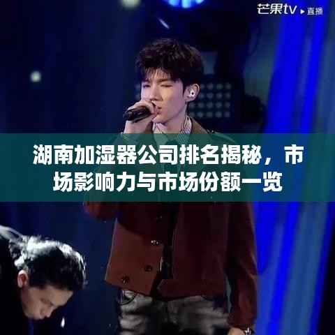 湖南加湿器公司排名揭秘,市场影响力与市场份额一览