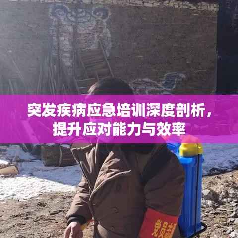 突发疾病应急培训深度剖析,提升应对能力与效率
