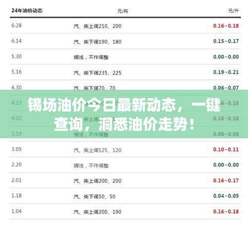 锡场油价今日最新动态，一键查询，洞悉油价走势！