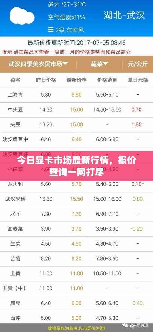 今日显卡市场最新行情，报价查询一网打尽