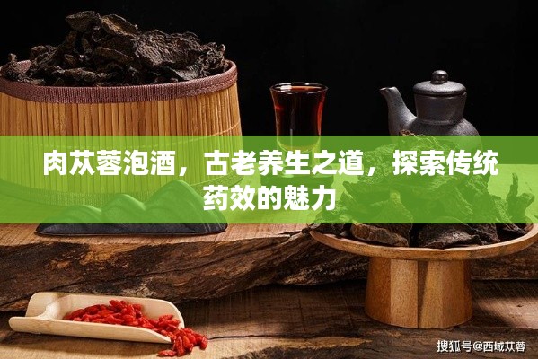 肉苁蓉泡酒，古老养生之道，探索传统药效的魅力