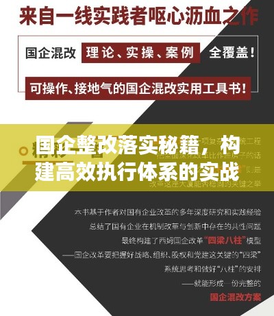 国企整改落实秘籍,构建高效执行体系的实战指南