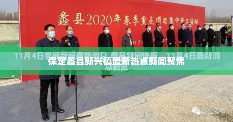 保定蠡县新兴镇最新热点新闻聚焦