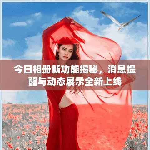 今日相册新功能揭秘,消息提醒与动态展示全新上线