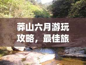 莽山六月游玩攻略,最佳旅游指南