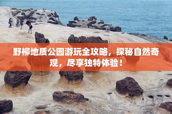 野柳地质公园游玩全攻略,探秘自然奇观,尽享独特体验!