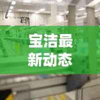 宝洁最新动态更新,今日新消息抢鲜看!