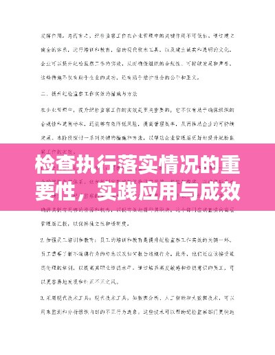 检查执行落实情况的重要性，实践应用与成效解析