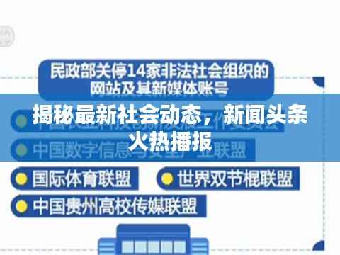 揭秘最新社会动态，新闻头条火热播报